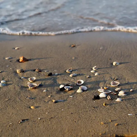 Lovely Beachside Flat - Beahost Apartment Bibione